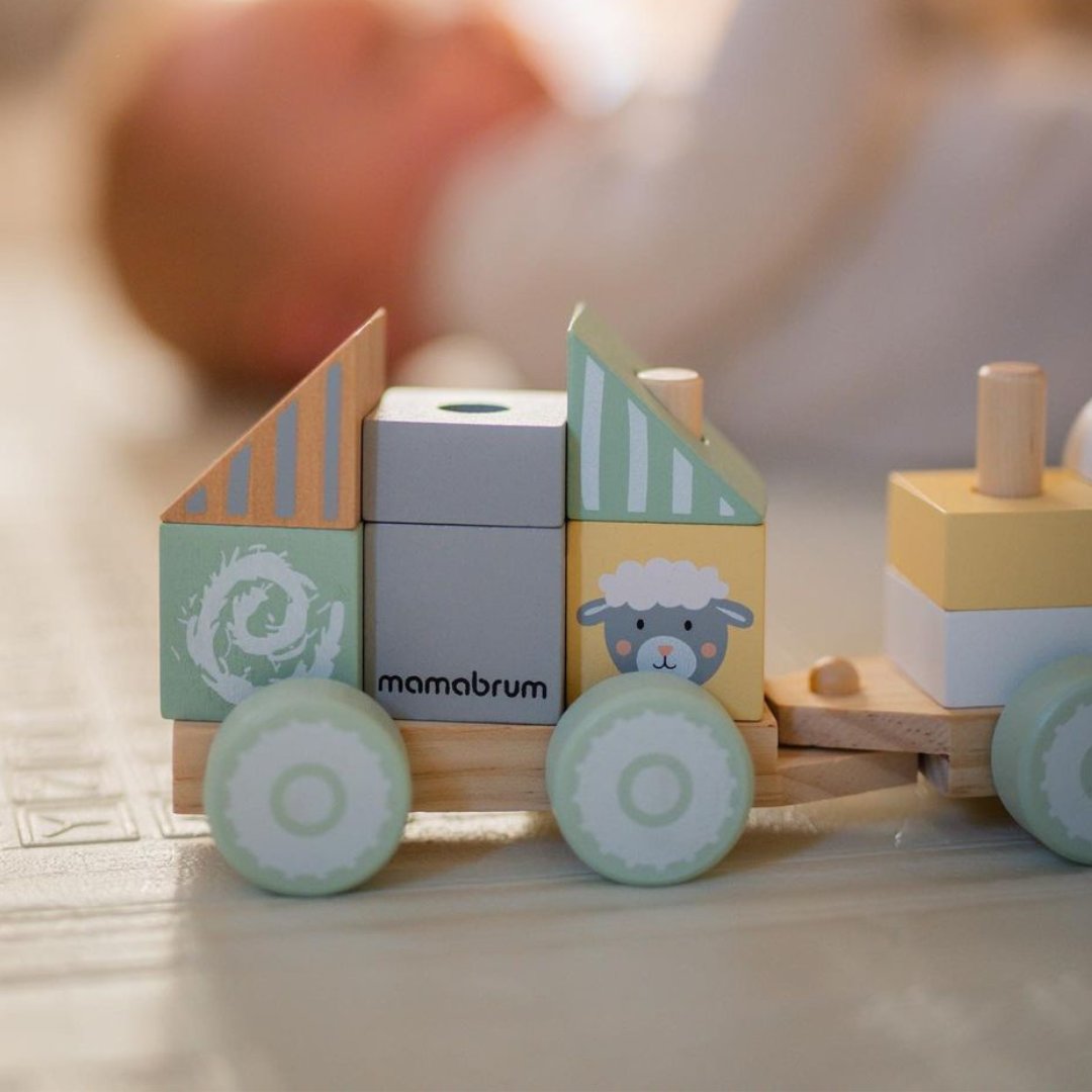 Tren din lemn cu blocuri pentru un băiat - Ferma