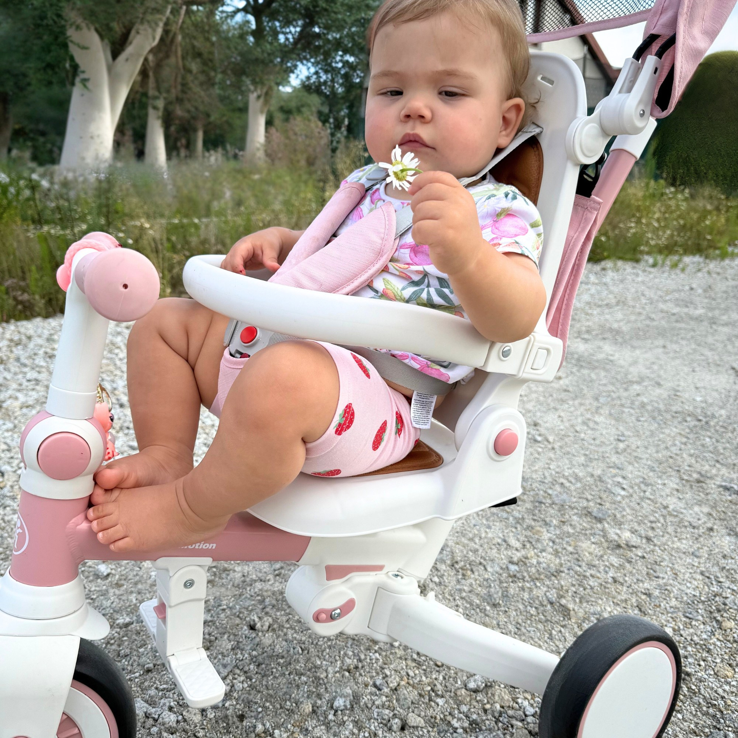 Triciclu multifuncțional 8in1 TOBI FOREST - roz