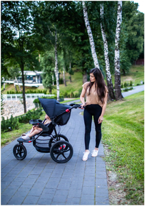 Cărucior pentru copii+space0m+ Moby-System MOUNTAIN