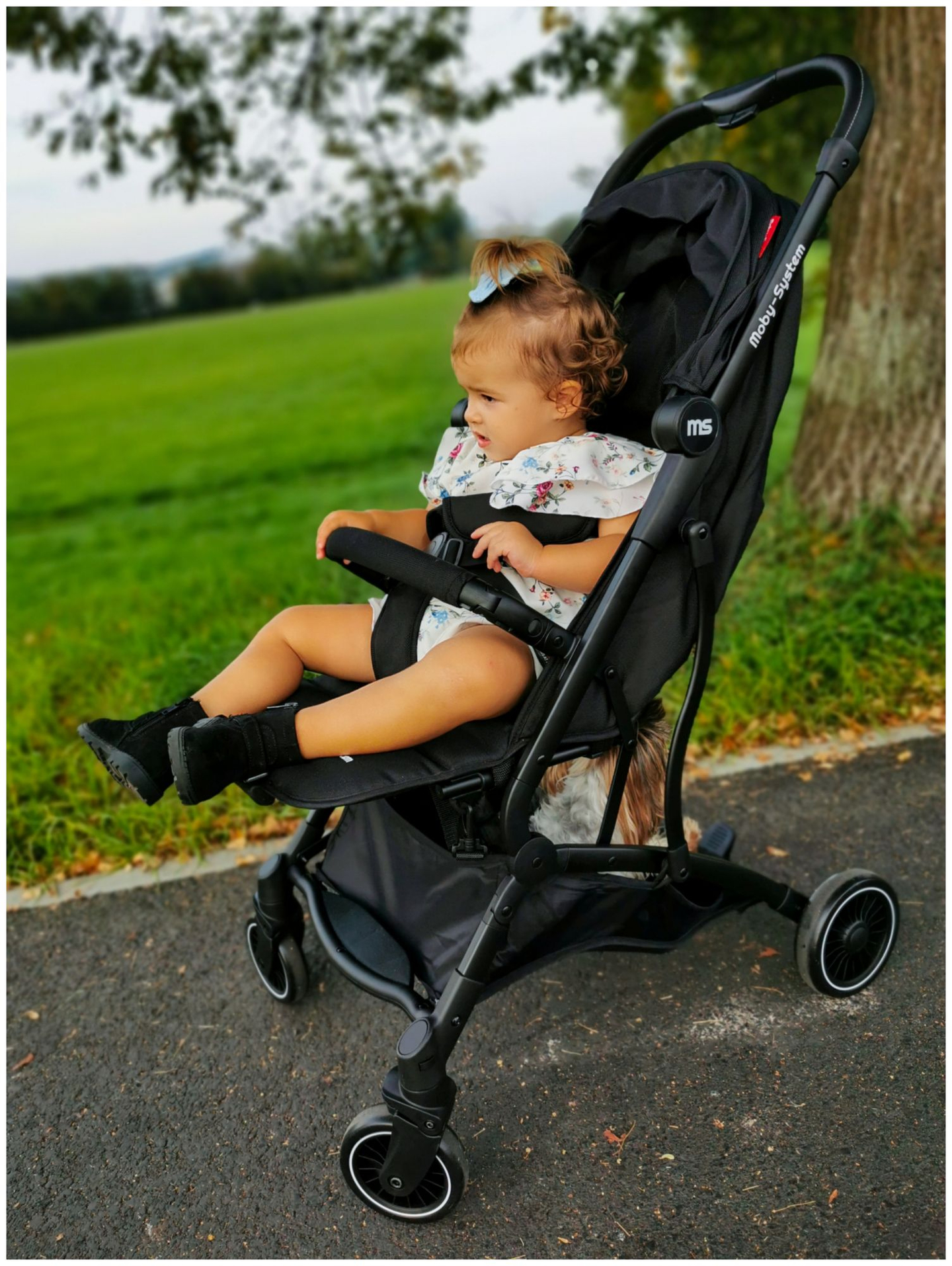 Cărucior pentru copii Moby-System LENA