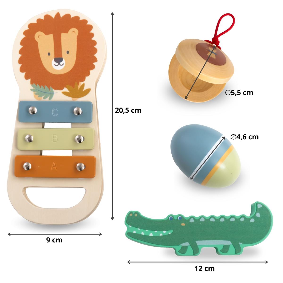 Set instrumente muzicale Africa