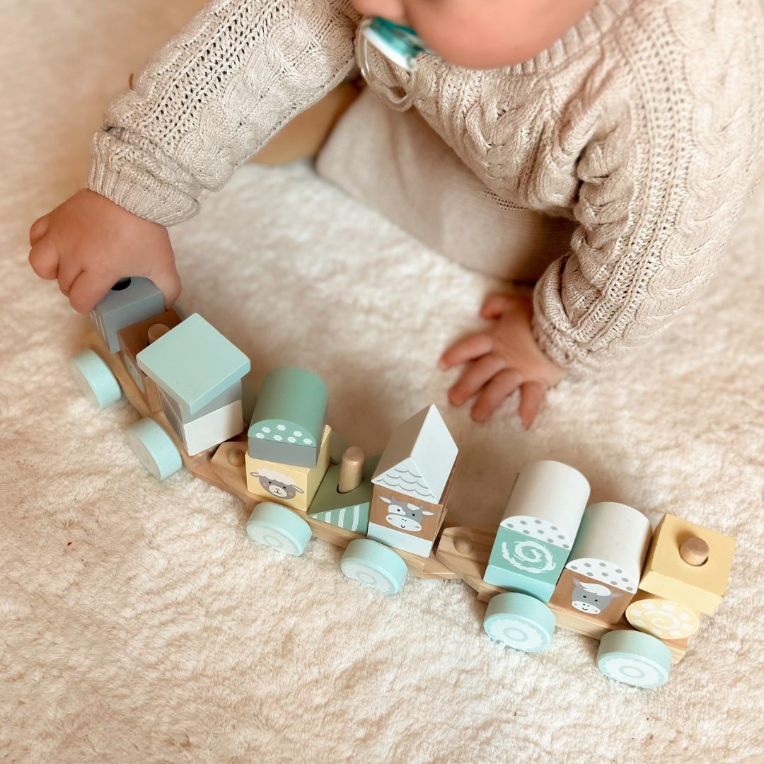 Tren din lemn cu blocuri pentru un băiat - Ferma