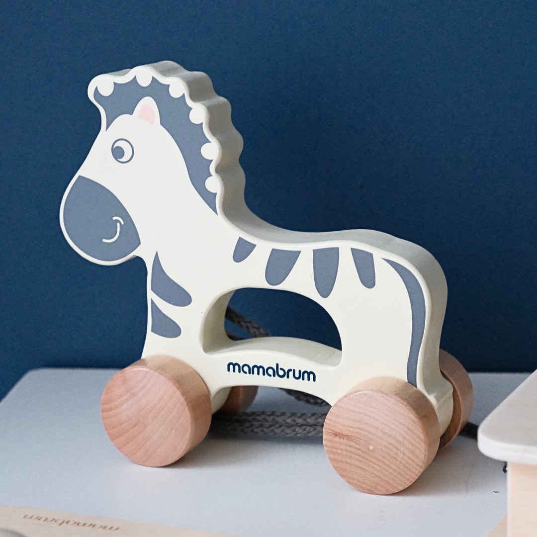 Set de jucării Montessori pentru copii 19-24 luni