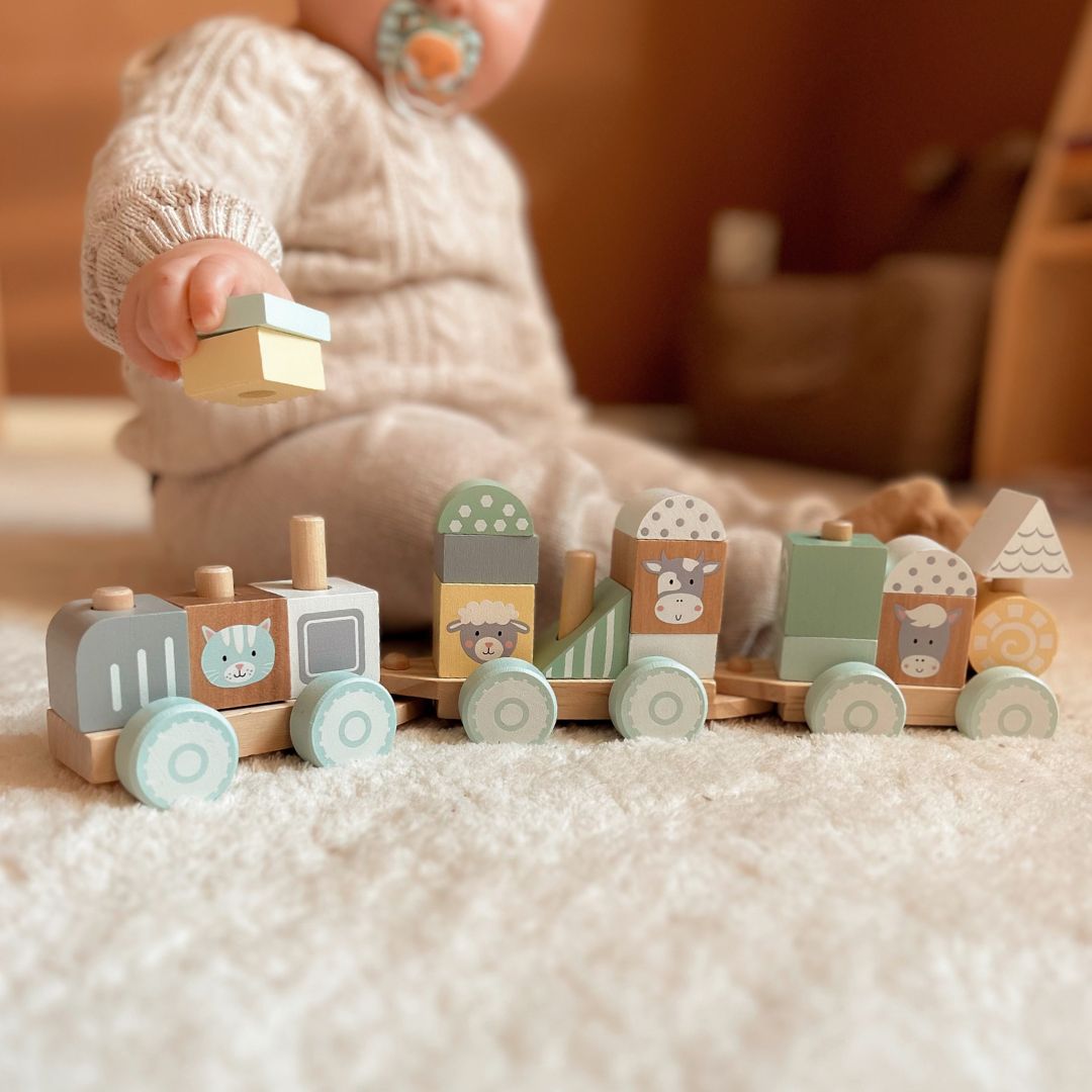 Tren din lemn cu blocuri pentru un băiat - Ferma