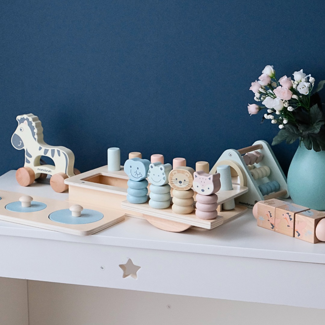 Set de jucării Montessori pentru copii 19-24 luni